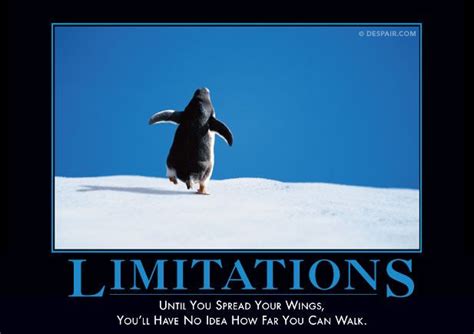 Limitations Demotivational Posters Motivational Posters Funny