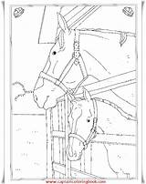 Stables sketch template