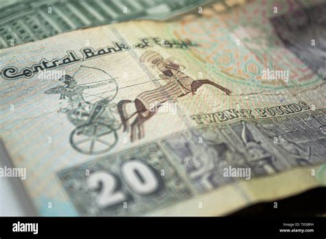 egyptian pound note  res stock photography  images alamy