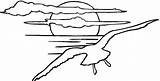 Gaviota Coucher Coloriage Gaviotas Tramonto Imprimer Mewa Seagulls Mewy Kolorowanki Coloriages Sunsets Dzieci Puesta Landscapes Volando Kolorowanka Słońca Seagull Vogel sketch template