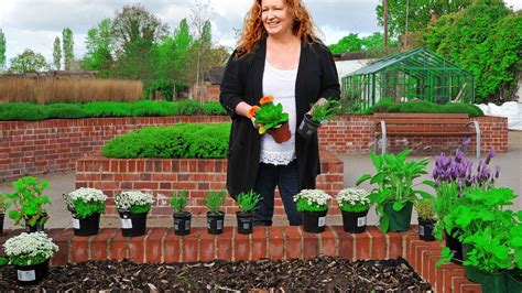 charlie dimmock on her ground force days ‘i m stuck being
