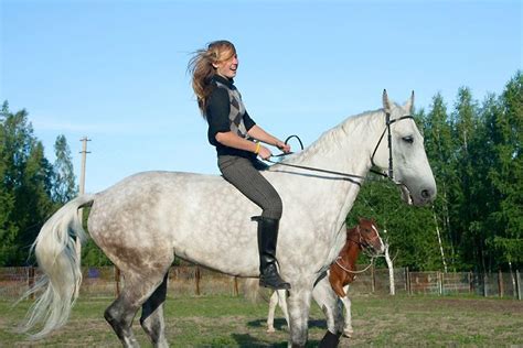 paardrijden zonder zadel paarden pro