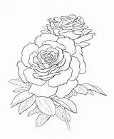 Coloring Rose Pages Tattoo Roses Color Sketch Getcolorings Getdrawings Book sketch template