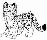 Leopard Baby Coloring Pages Getcolorings Snow Print sketch template