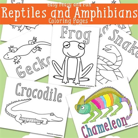 reptile coloring pages  printable reptiles preschool reptiles