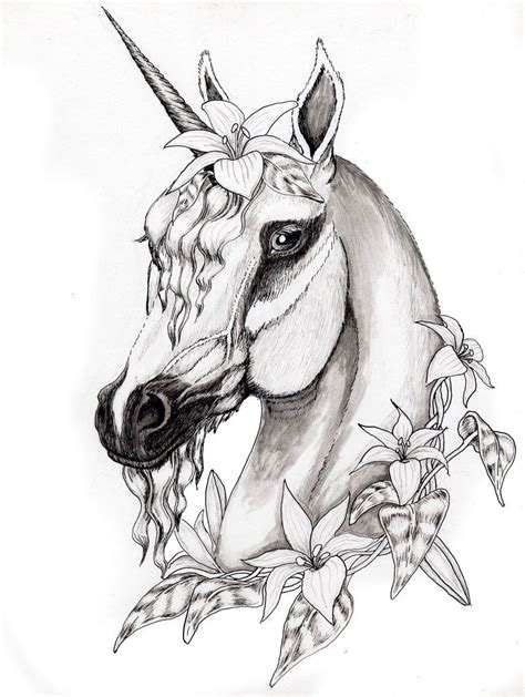 licorne portrait horse coloring pages unicorn coloring pages horse