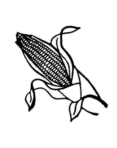 corn coloring page  kids coloring sun coloring pages coloring