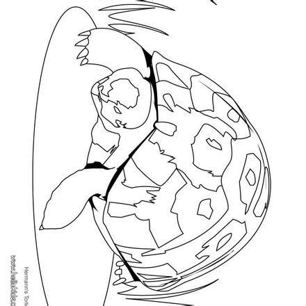 tortoise coloring pages   reptiles coloring pages
