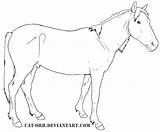 Mustang Spanish Horse Coloring Wild Pages Horses Supercoloring Lineart Deviantart Categories Orb Cat Shop sketch template