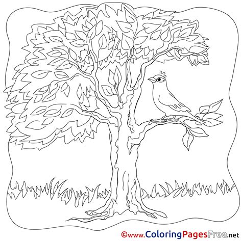 bird  tree coloring page coloring pictures animation images