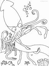 Squid Coloring Giant Pages Printable Print Color Wanted Colossal Kids Instructive Getdrawings Getcolorings sketch template