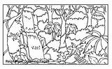 Coloring Pages Jungle Rainforest Scene Drawing Tropical Trees Print Printable Getcolorings Getdrawings Paintingvalley Colorings Forest sketch template