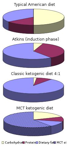 ketogenic diet  remission  type  diabetes