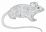 Mouse Coloring Kids Pages Color Children Beautiful sketch template