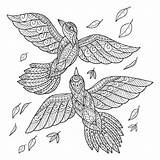 Kleurboek Vogels Getrokken Volwassen Vliegen Schets sketch template