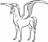 Pegasus Getdrawings Hercules Pegacorn Wecoloringpage sketch template