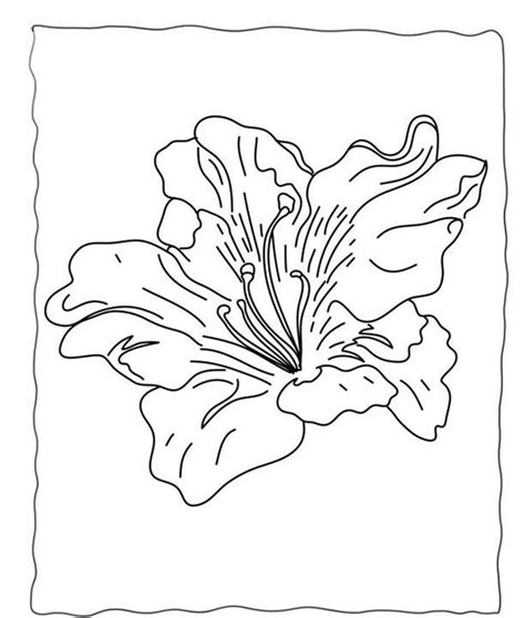 flowers coloring pages preschool flower coloring sheets printable
