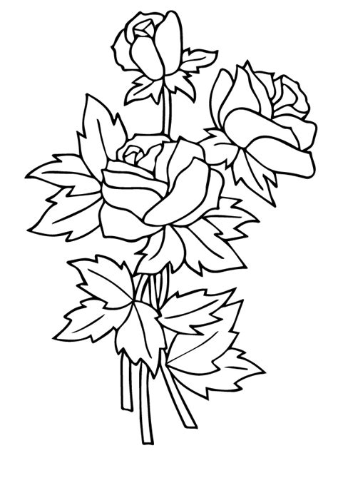rose coloring pages books    printable