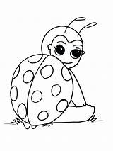 Ladybird Ladybug sketch template