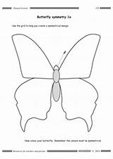 Butterfly Symmetry Tes Previous Next sketch template