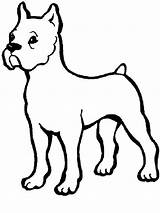 Boxer Dog Coloring Pages Baby Color Print Getcolorings Button Through sketch template