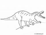 Coloring Pages Suchomimus Jurassic Printable Kids sketch template