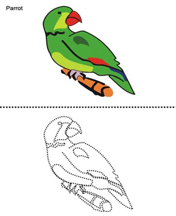parrot printable coloring worksheet