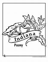 Coloring Indiana State Flower Pages Printables sketch template