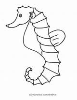Seepferdchen Malvorlagen Malvorlage Ausdrucken Playmobil Frisch sketch template
