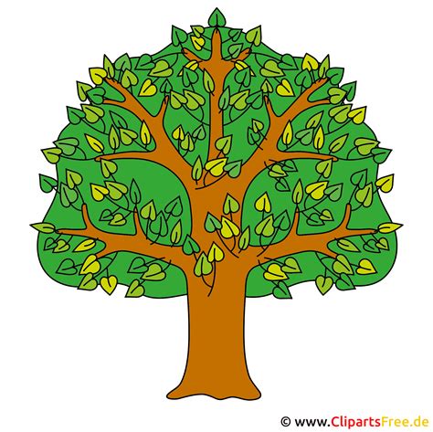 baum clipart sommer cliparts