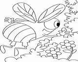 Hornet Pages Coloring Getcolorings Getdrawings Color sketch template