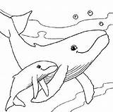 Coloring Whale Baby Pages Animals Mom Animal Mother Babies Their Sea Sheets Adult Dive Colouring Print Child Whales Adults Color sketch template