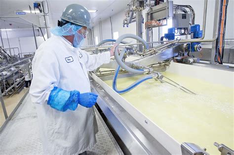 lactalis cheese factory   grow connect  nampa community local news idahopresscom