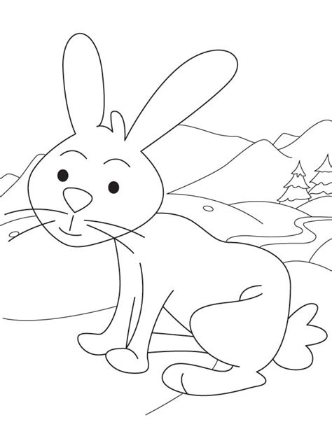 bunny coloring page    bunny coloring page  kids