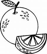 Jeruk Frutas Gambar Mewarnai Buah Sketsa Naranja Oranges Menggambar Laranja Fruta Toppng Pohon Gambarcoloring Diwarnai Koleksi Belajar Bojanka Abierta Escuela sketch template