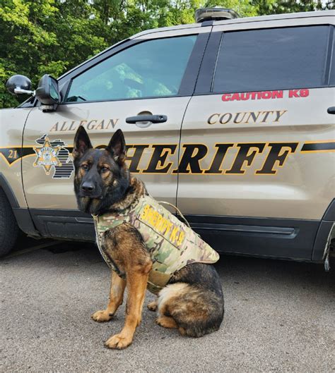 Allegan County Sheriffs Office K9 Thor Wearing Body Armor Thanks To