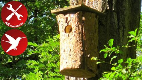 log birdhouse diy step  step youtube