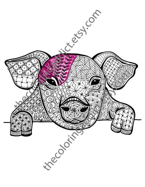 pig coloring sheet animal coloring   thecoloringaddict adult