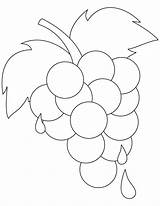 Uvas Weintrauben Grapes Ausmalbilder Ripe Grape Ausmalbild Bestcoloringpages sketch template