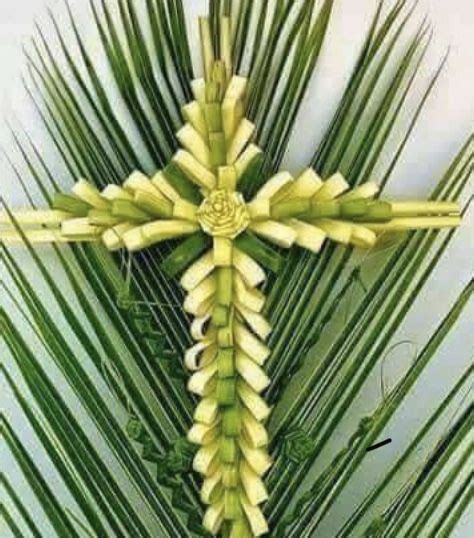 pin  cathie  easter spring   palm sunday palm sunday
