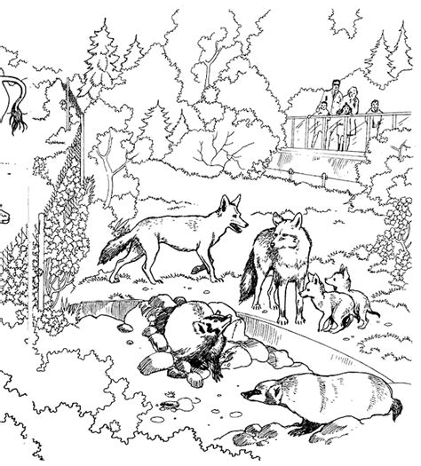 coloring page zoo coloring pages