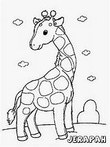 Mewarnai Jerapah Lucu Giraffe Binatang sketch template