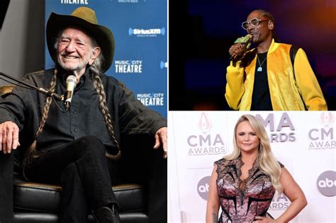 willie nelson  celebrate  birthday   star concert