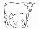 Cow Simple Drawing Coloring Pages Getdrawings sketch template