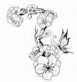 Blossom Cherry Plum Japanese Tattoo Flower Drawing Flowers Tree Stencil Designs Stencils Sleeve Blossoms Tattoos Getdrawings Vintage Drawings Draw York sketch template