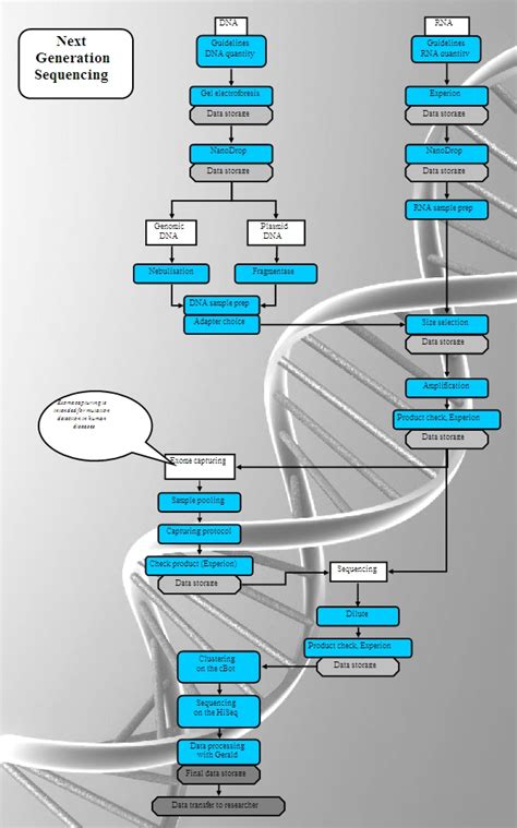 Dna analysis facility