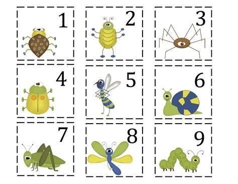 images  bug preschool printables insect action cards
