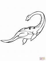 Plesiosaurus Colorear Plesiosaurio Ausmalbild Sauropsida Zum Plesiosaur Zeichnen sketch template