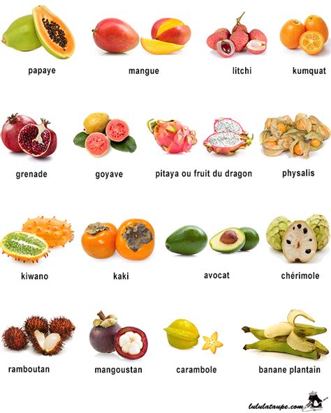 imagier  imprimer les fruits exotiques images fruits  legumes