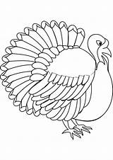 Turkey Coloring Pages Printable Template Kids Disguise Realistic Print Color Templates Animal Getcolorings sketch template